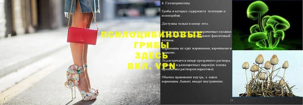 PSILOCYBIN Алексеевка