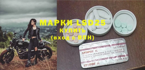 PSILOCYBIN Алексеевка