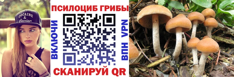 блэк спрут   Петрозаводск  Галлюциногенные грибы Magic Shrooms 