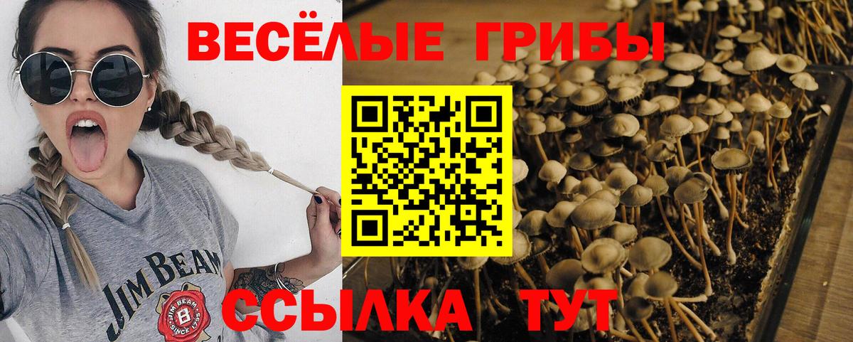 Галлюциногенные грибы мицелий Петрозаводск