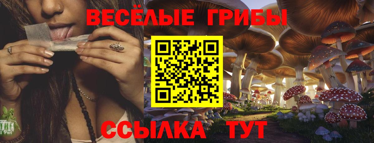 Галлюциногенные грибы Psilocybe  Вход с VPN  Галлюциногенные грибы GOLDEN TEACHER  Петрозаводск 